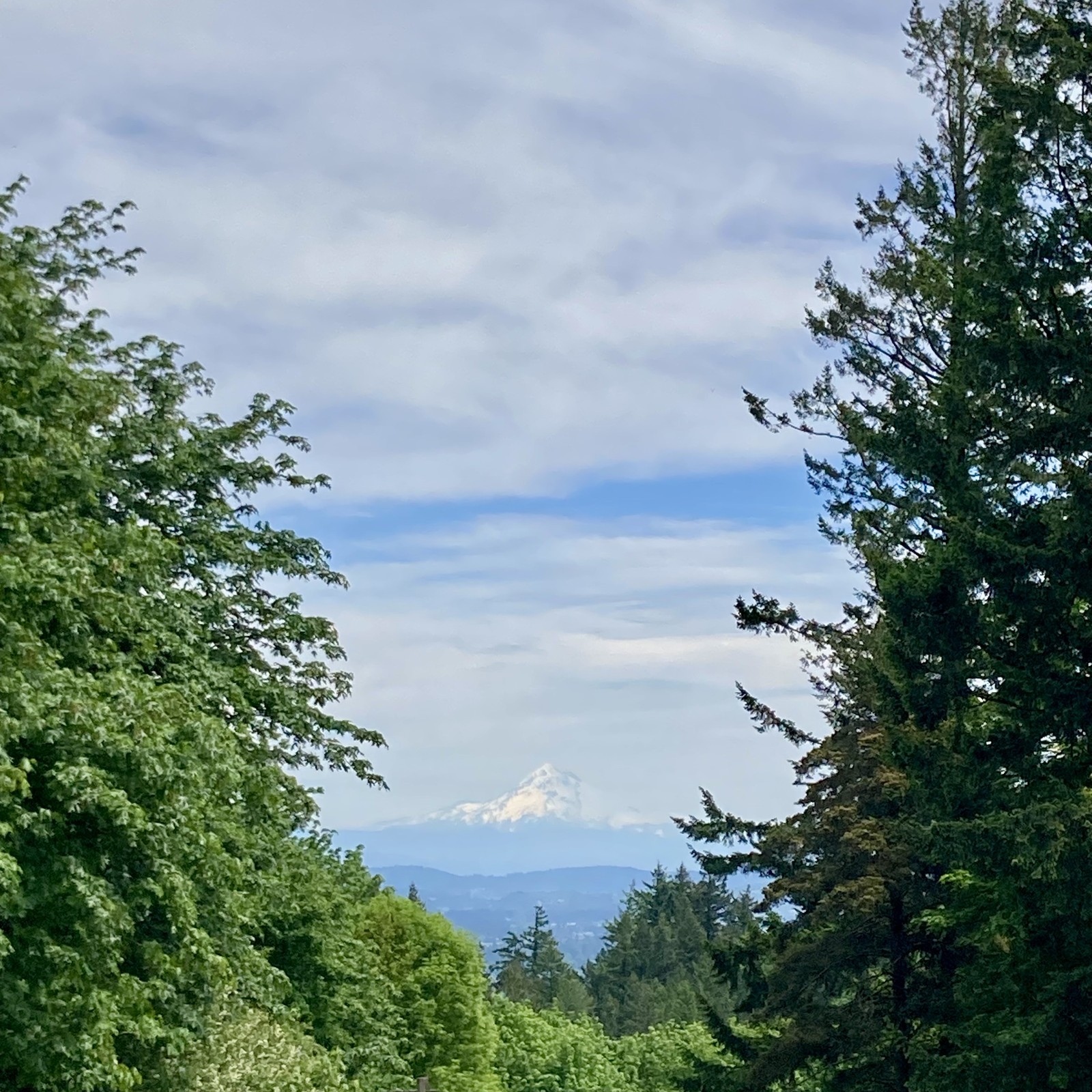Mt Hood half in shadow under a humid veiled sky
