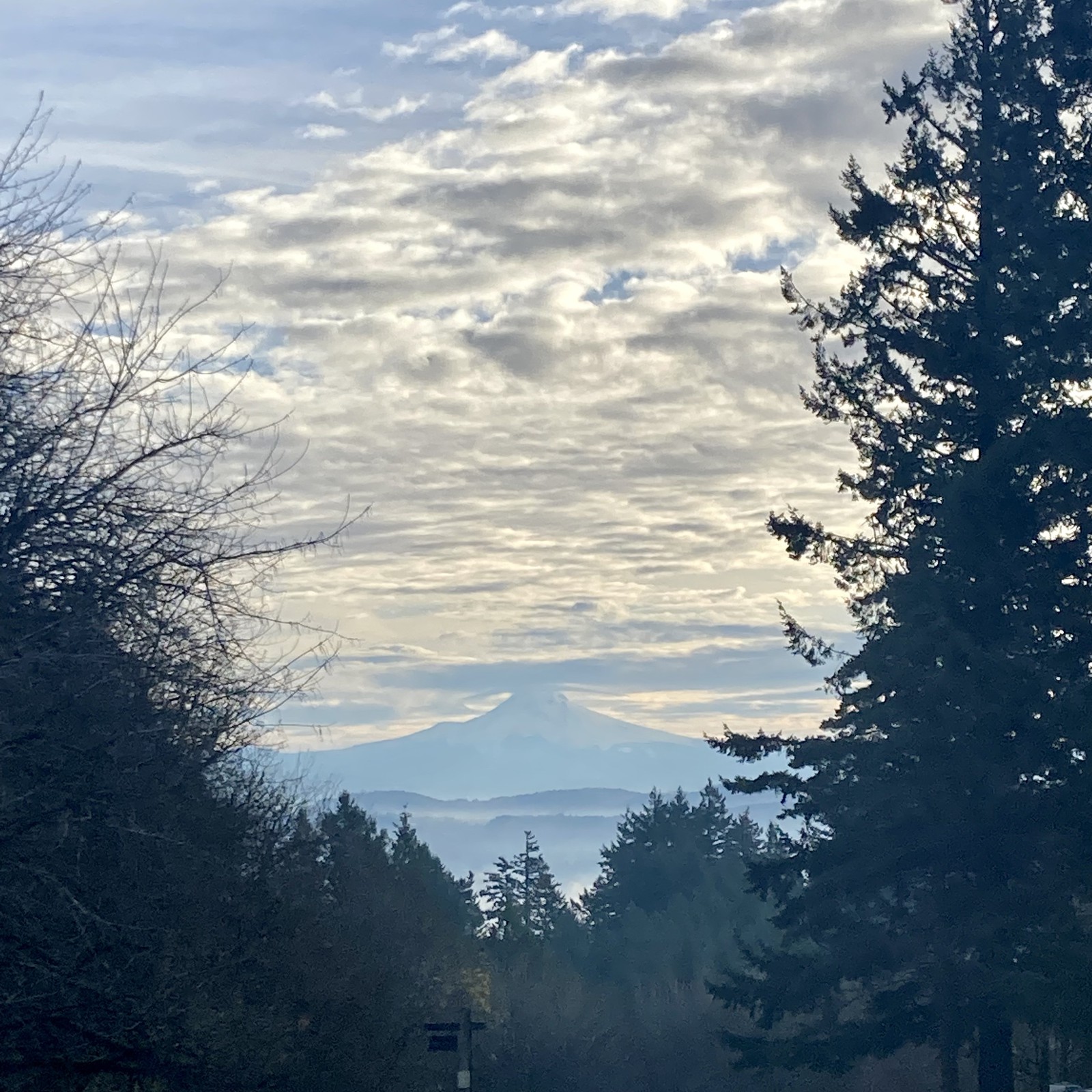 View from Council Crest toward Mt. Hood, which is visible