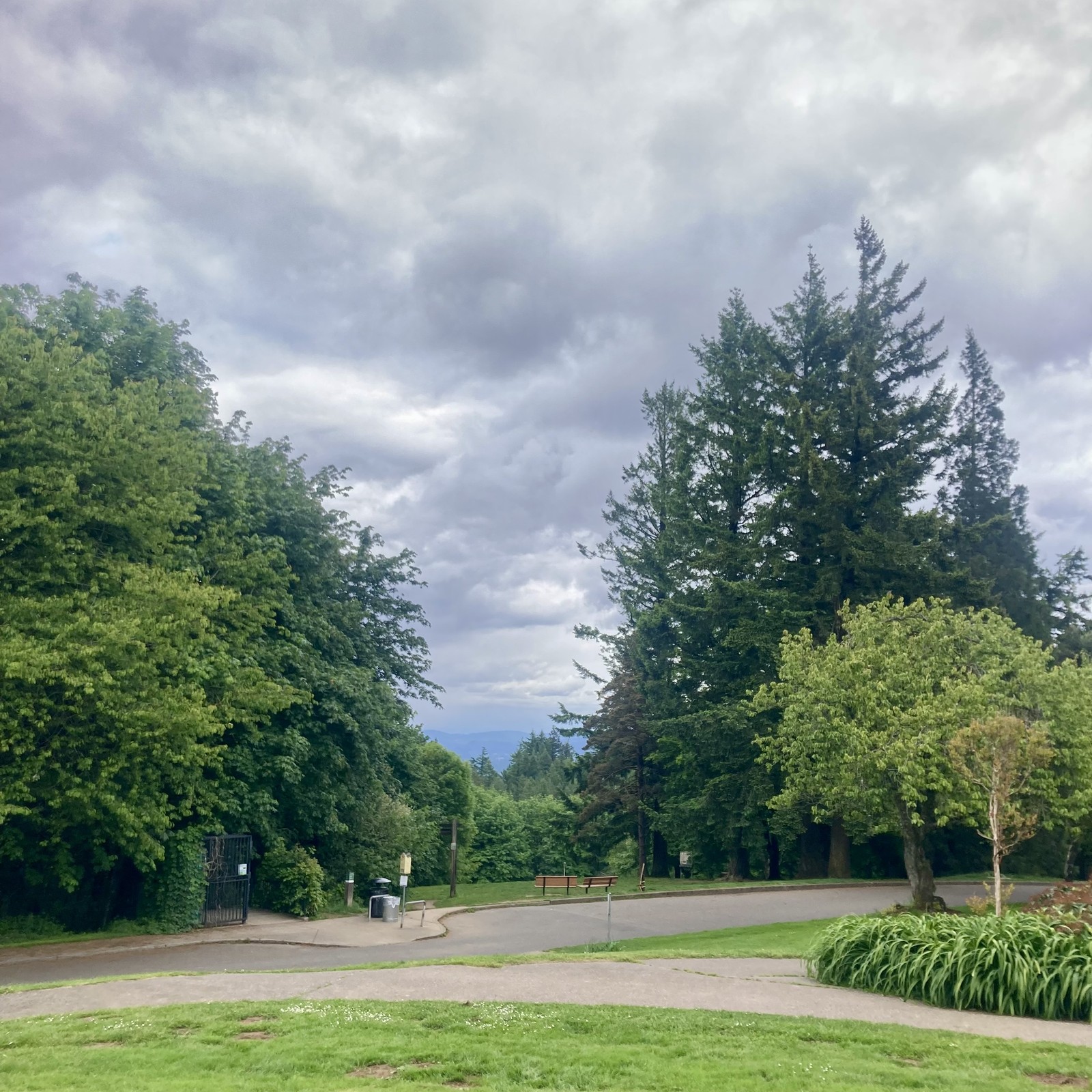 Another graygreen late spring day looking toward Mt Hood which is obscured by heavy clouds