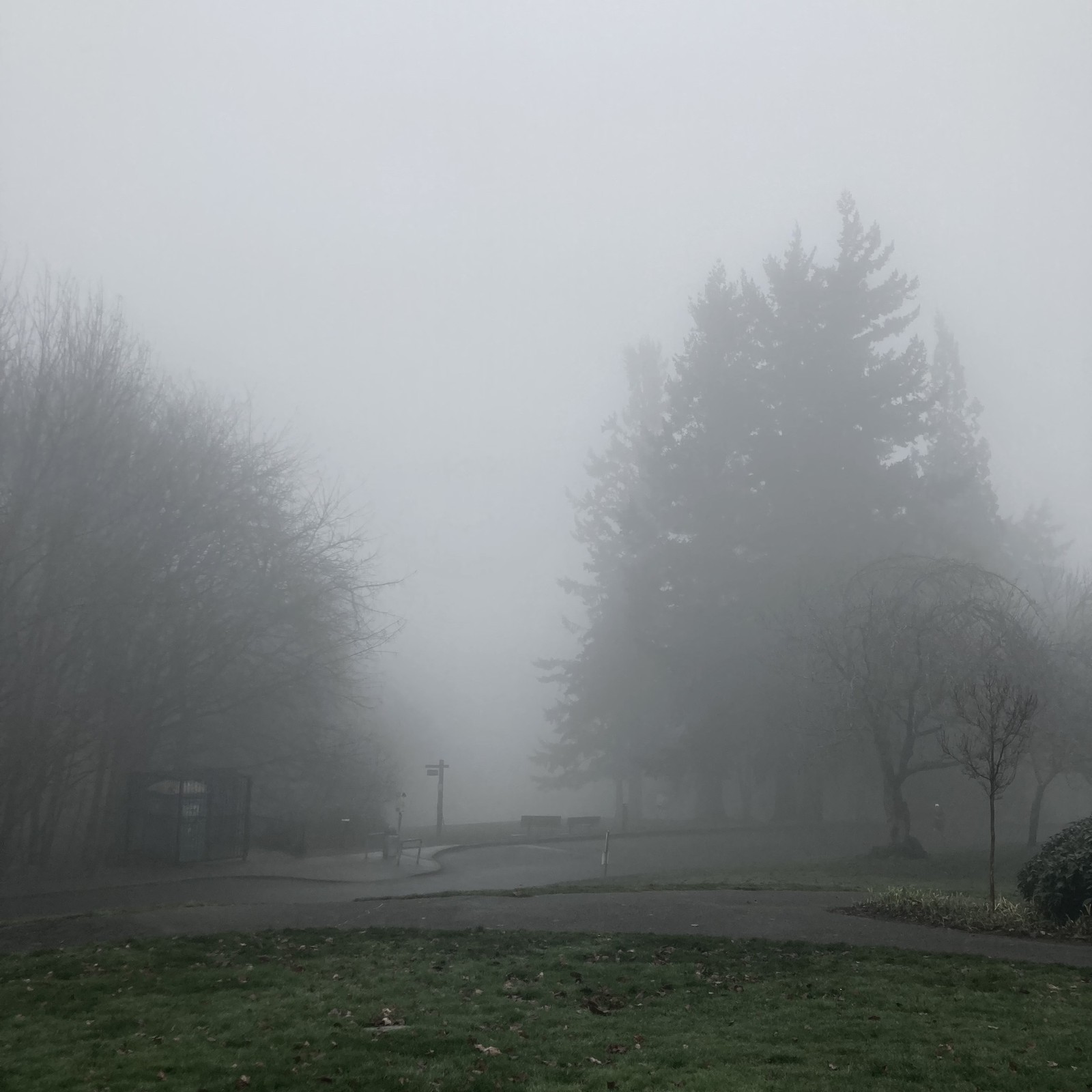 View from Council Crest toward Mt. Hood, which is NOT visible