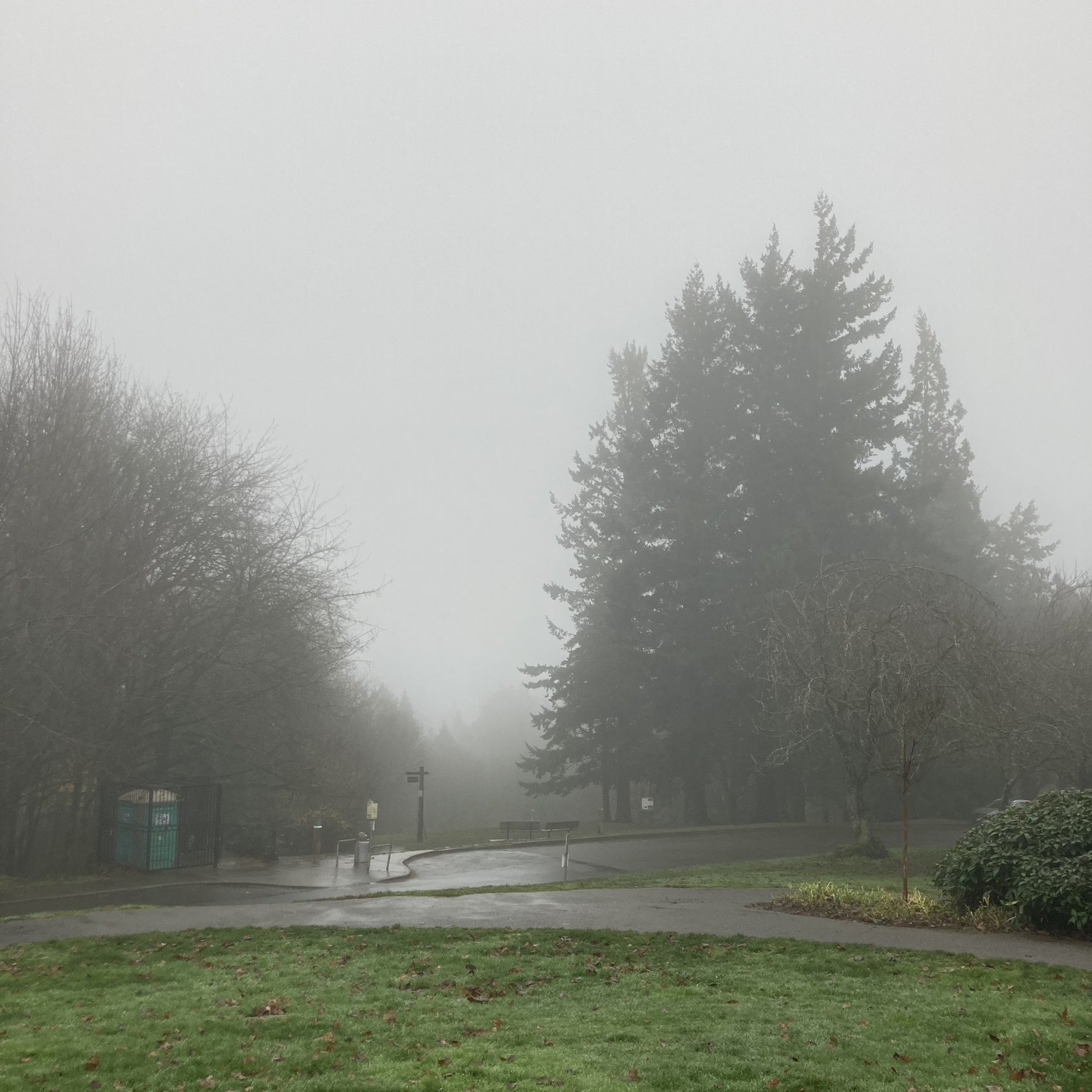 View from Council Crest toward Mt. Hood, which is NOT visible