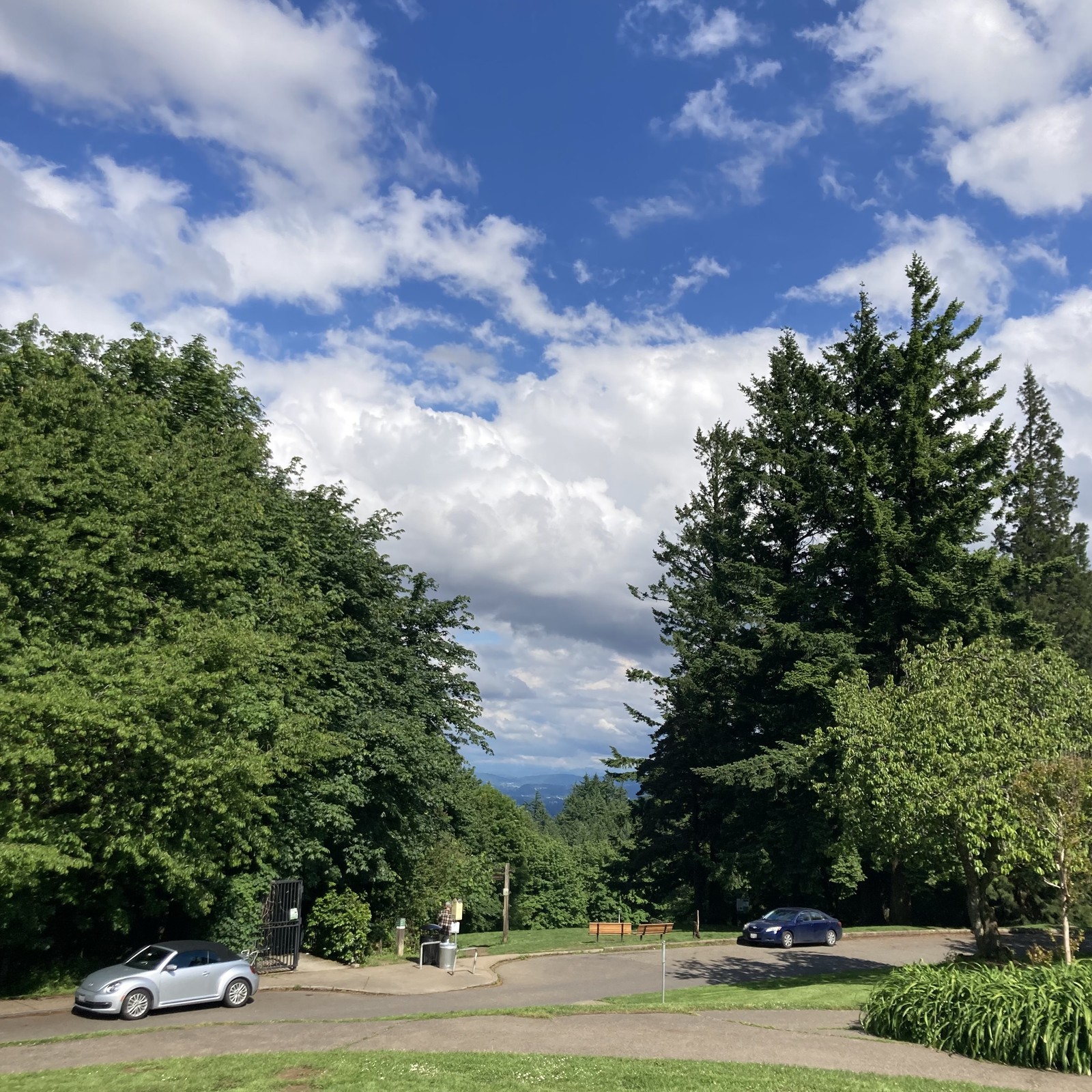 Lovely fluffy clouds in a blue sky. No mountain.