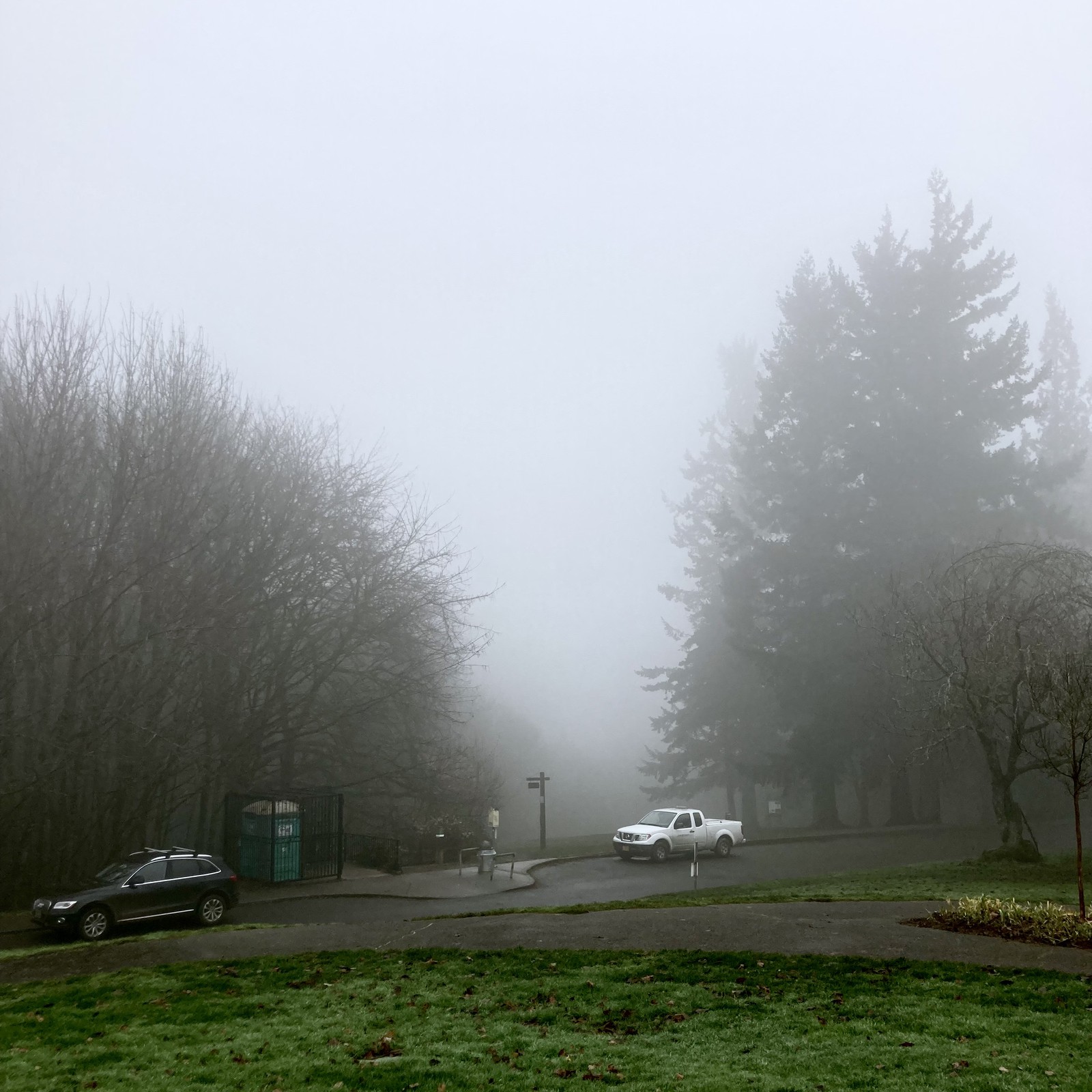 View from Council Crest toward Mt. Hood, which is NOT visible