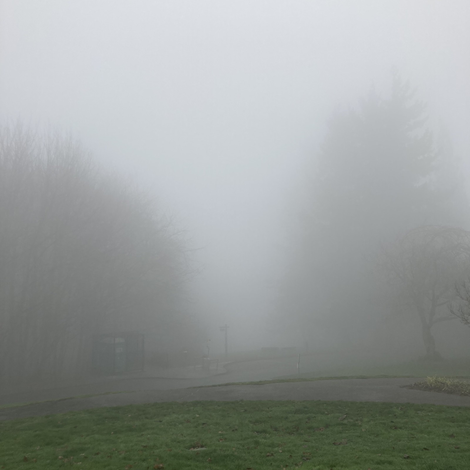 View from Council Crest toward Mt. Hood, which is NOT visible