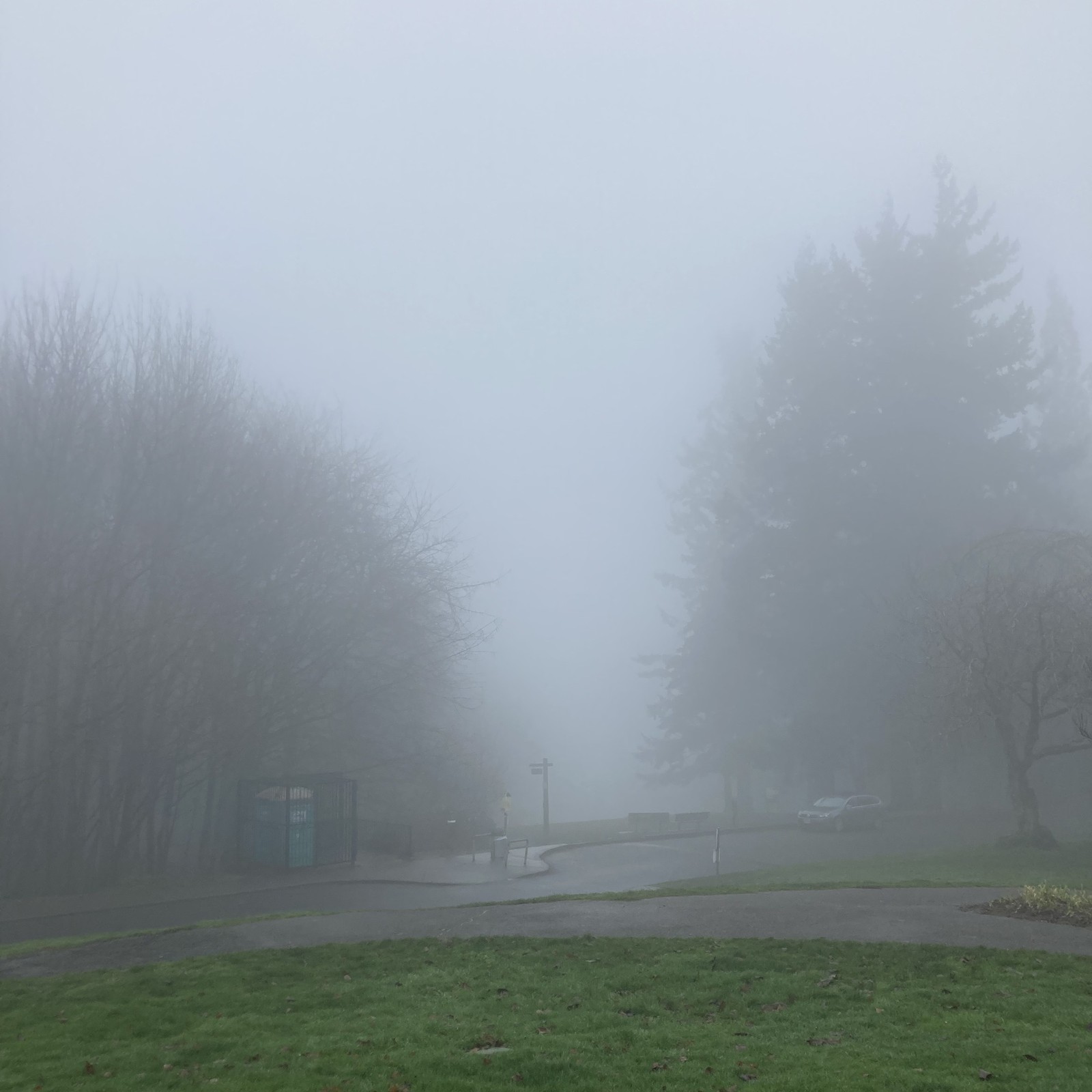 View from Council Crest toward Mt. Hood, which is NOT visible