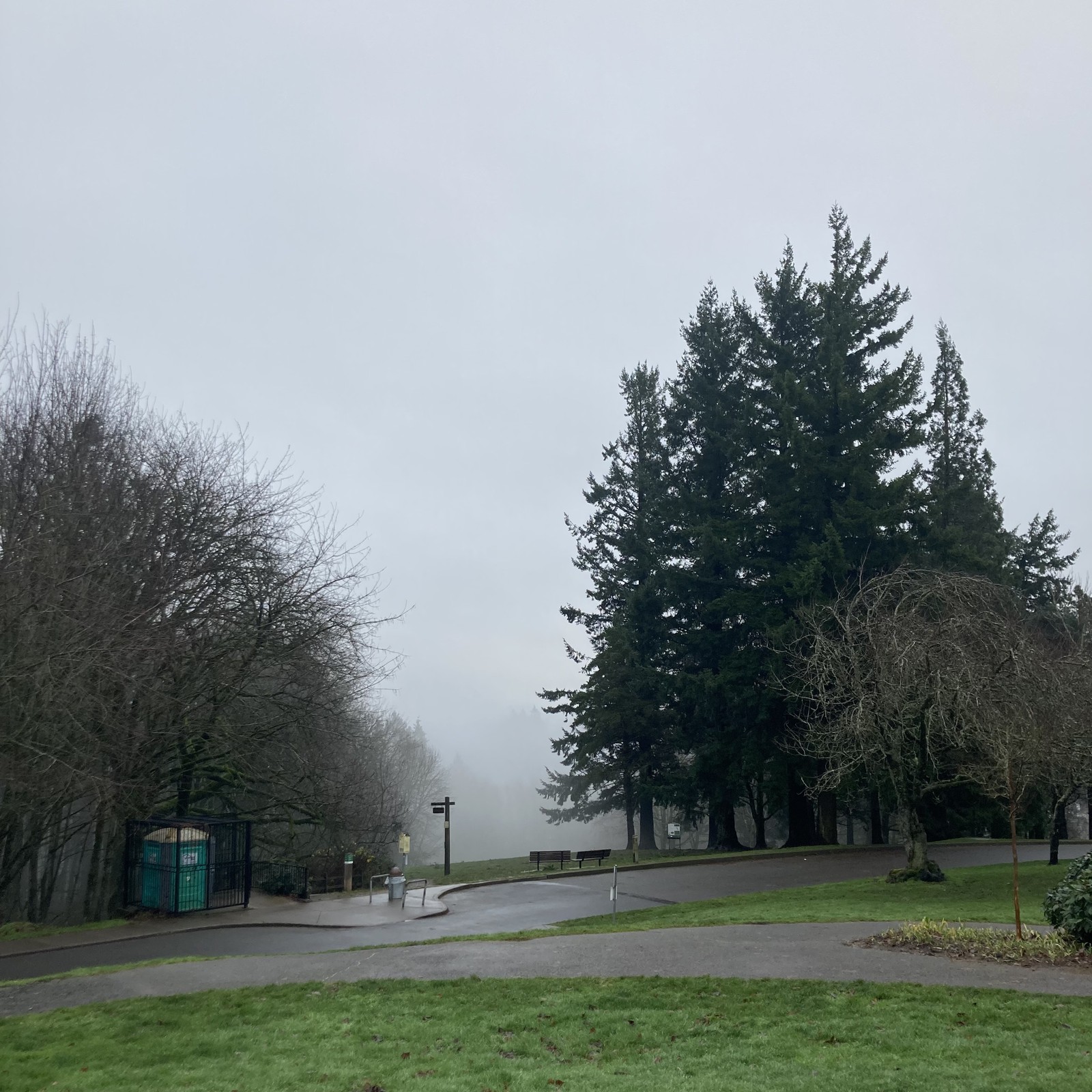 View from Council Crest toward Mt. Hood, which is NOT visible