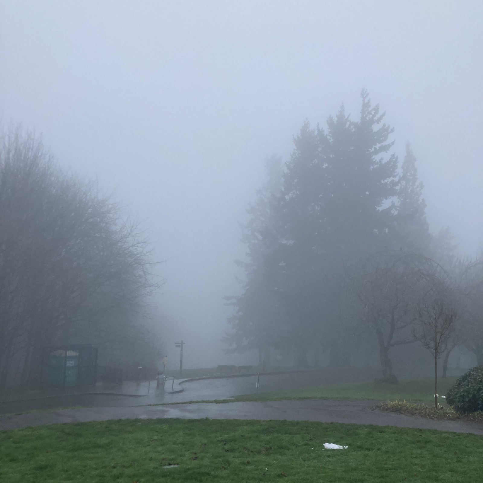 View from Council Crest toward Mt. Hood, which is NOT visible