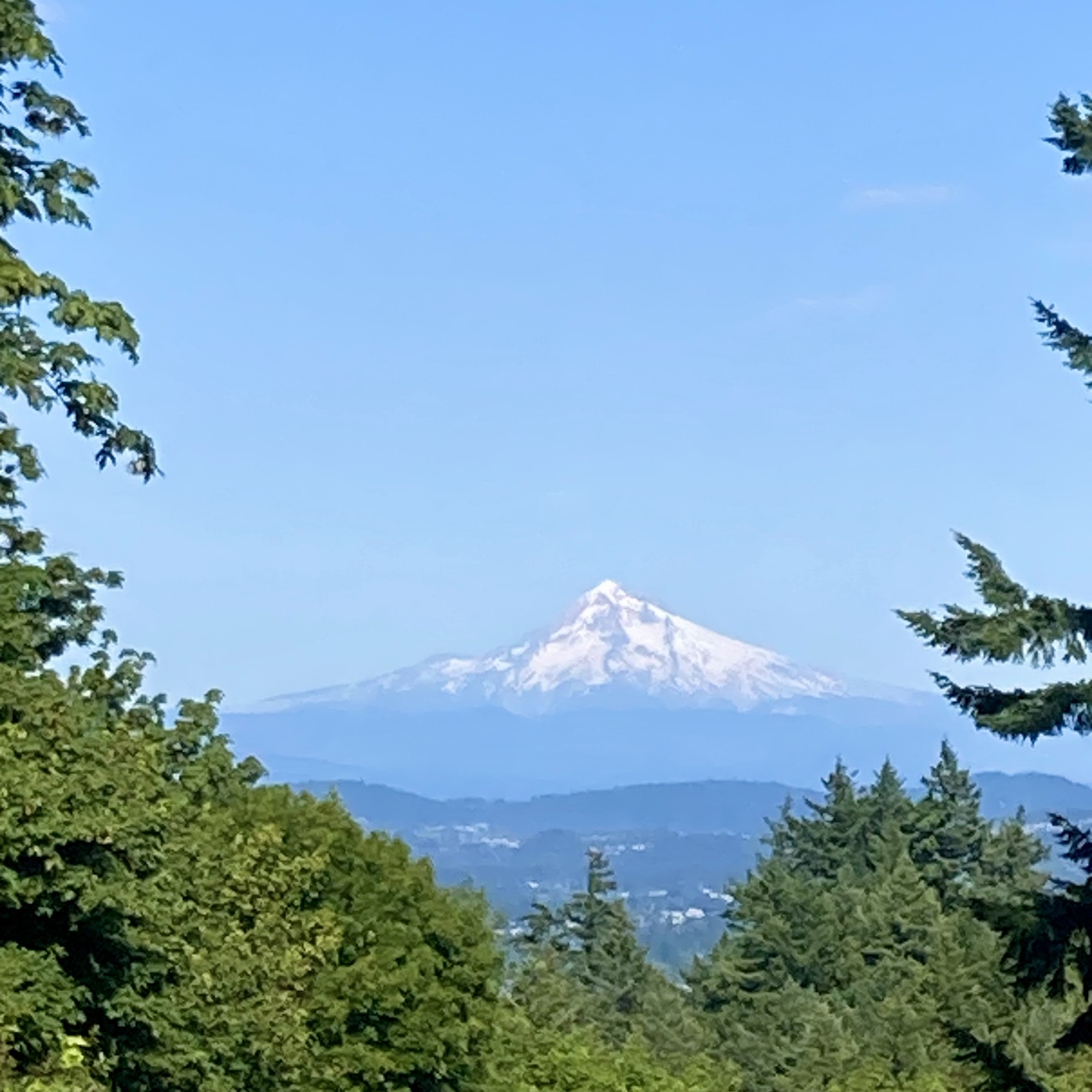 View from Council Crest toward Mt. Hood, which is visible