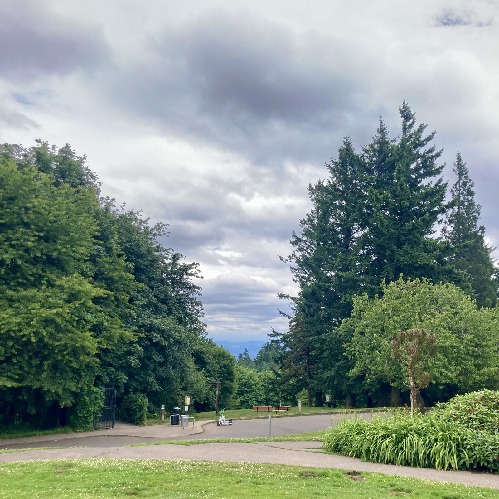 Busy cloudy sky, vivid vegetation. not too hot. humid