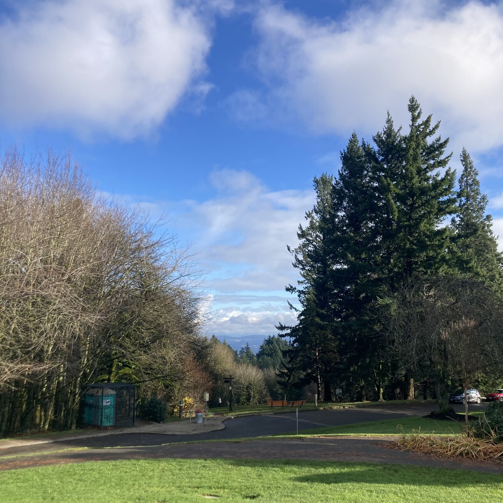 View toward Mt Hood which is hidden by low wet clouds in a broken sky. The first day without rain all week. Grass in the foreground is bright green in the low sunlight