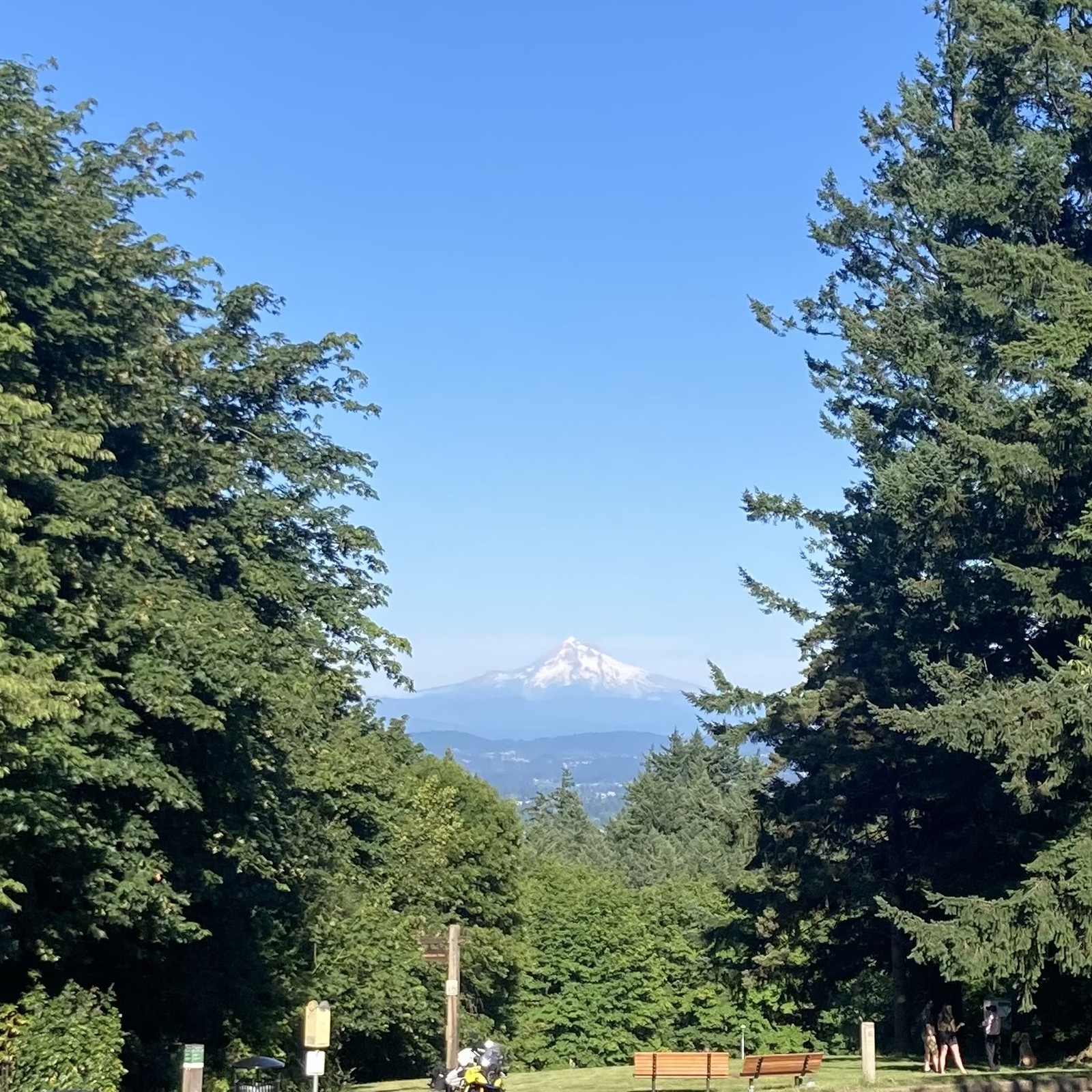 Lotsa snow on Mt. Hood for July 3