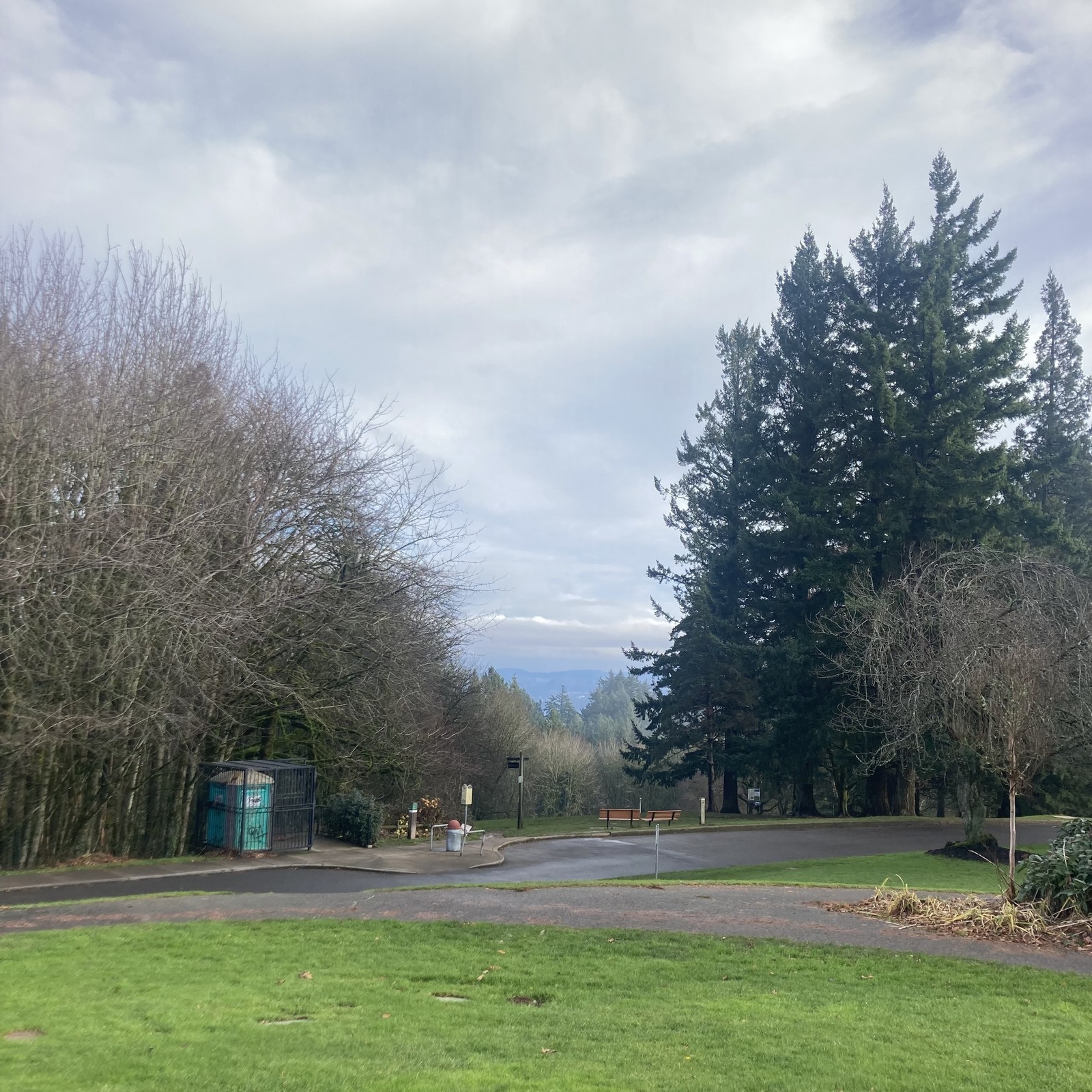 Portland is back on its winter shit again. Gray and wet, not too cold, mountain obscured, smells like Christmas trees, you know the drill.