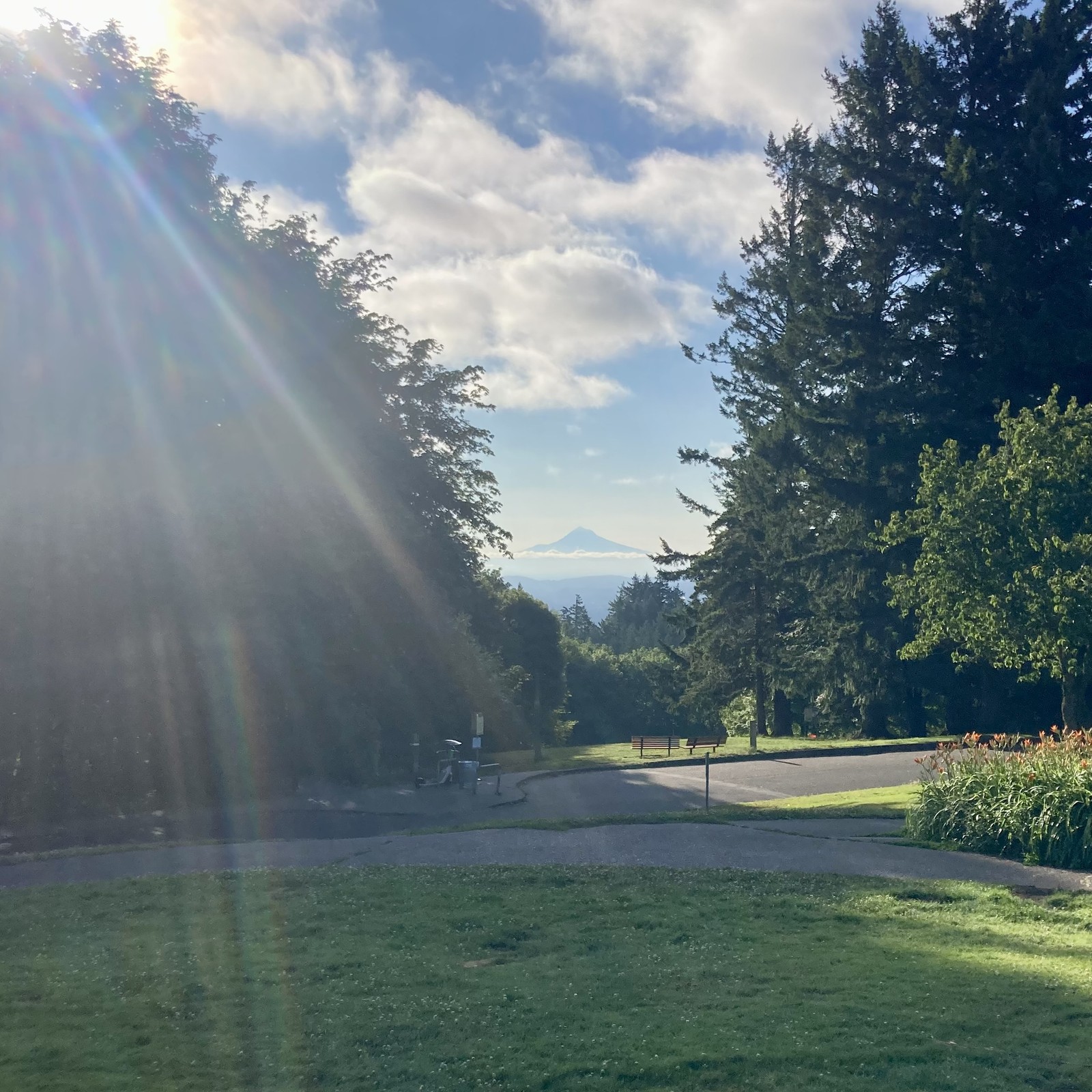 Silhouette of Mt. Hood above a layer of marine clouds, about 2 hours after sunrise