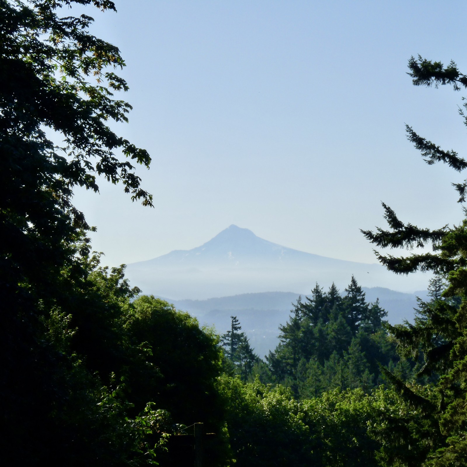 Silhouette of Mt. Hood on a clear summer morning