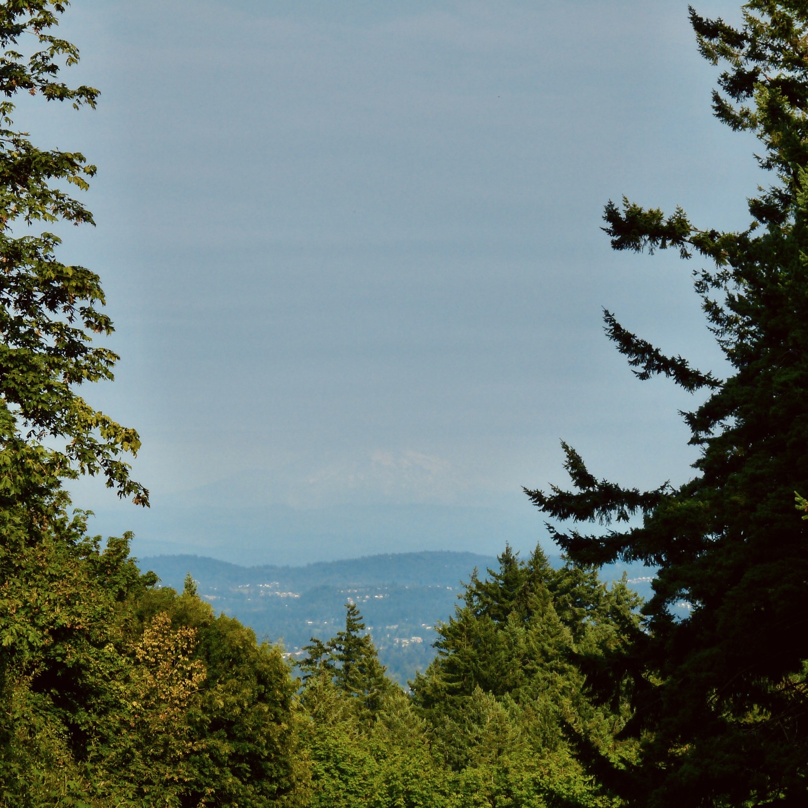 snow on Mt Hood barely visible through a bluish murk, probably wildfire haze