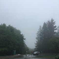 View from Council Crest toward Mt. Hood, which is NOT visible