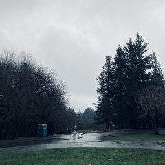 View from Council Crest toward Mt. Hood, which is NOT visible