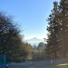 View from Council Crest toward Mt. Hood, which is visible