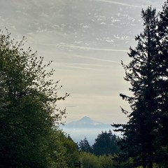 View from Council Crest toward Mt. Hood, which is visible