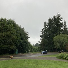 View from Council Crest toward Mt. Hood, which is NOT visible