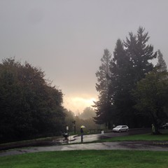 View from Council Crest toward Mt. Hood, which is NOT visible
