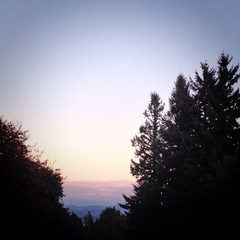 View from Council Crest toward Mt. Hood, which is NOT visible