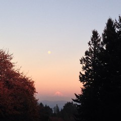 View from Council Crest toward Mt. Hood, which is visible