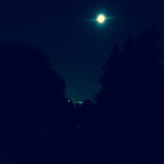 View from Council Crest toward Mt. Hood, which is NOT visible