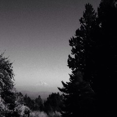 View from Council Crest toward Mt. Hood, which is visible