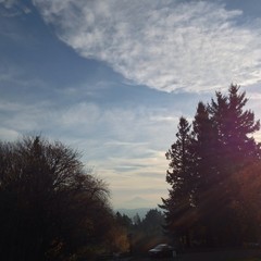 View from Council Crest toward Mt. Hood, which is visible