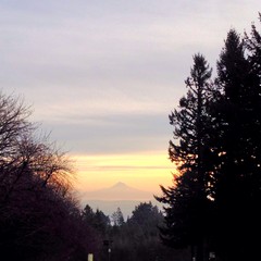 View from Council Crest toward Mt. Hood, which is visible