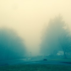 View from Council Crest toward Mt. Hood, which is NOT visible