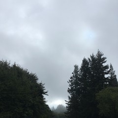 View from Council Crest toward Mt. Hood, which is NOT visible
