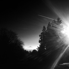 View from Council Crest toward Mt. Hood, which is visible