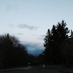 View from Council Crest toward Mt. Hood, which is NOT visible