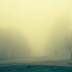 View from Council Crest toward Mt. Hood, which is NOT visible