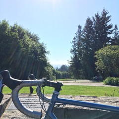 View from Council Crest toward Mt. Hood, which is visible
