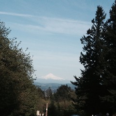 View from Council Crest toward Mt. Hood, which is visible