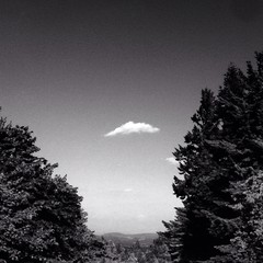 View from Council Crest toward Mt. Hood, which is visible