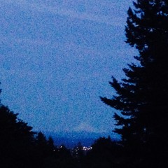 View from Council Crest toward Mt. Hood, which is visible