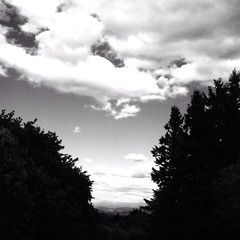 View from Council Crest toward Mt. Hood, which is visible