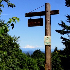 View from Council Crest toward Mt. Hood, which is visible