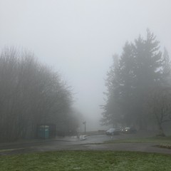 View from Council Crest toward Mt. Hood, which is NOT visible