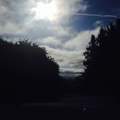 View from Council Crest toward Mt. Hood, which is NOT visible