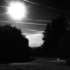 View from Council Crest toward Mt. Hood, which is visible