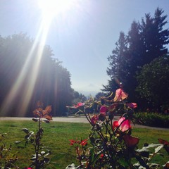View from Council Crest toward Mt. Hood, which is visible