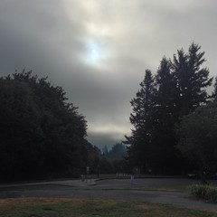 View from Council Crest toward Mt. Hood, which is NOT visible