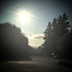 View from Council Crest toward Mt. Hood, which is visible