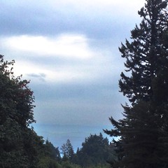 View from Council Crest toward Mt. Hood, which is NOT visible