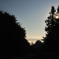 View from Council Crest toward Mt. Hood, which is NOT visible